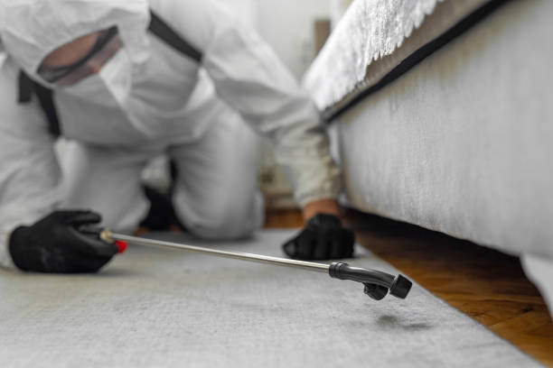 Professional Ant Control technician working in Ozona, TX